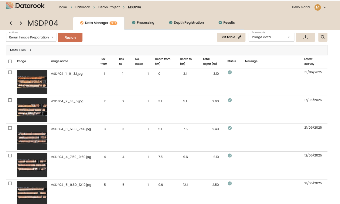 How to use Data Manager (Beta)