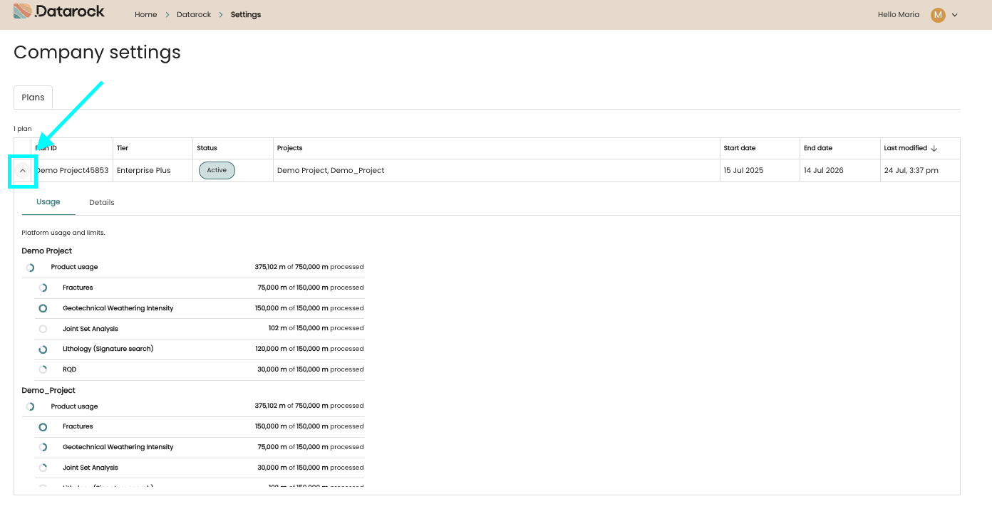 How do the Subscription Usage & Details work?