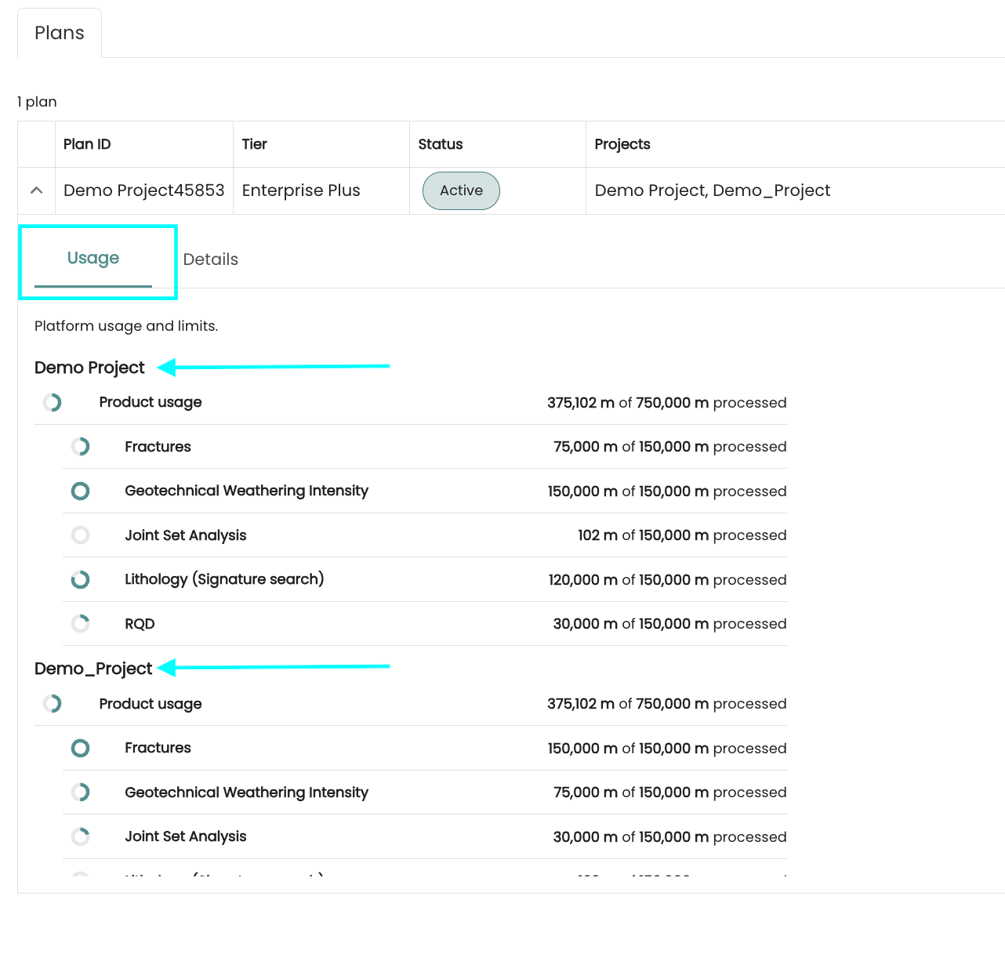 How do the Subscription Usage & Details work?